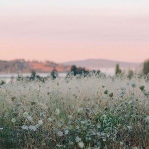 Meet your Posher, Audrey